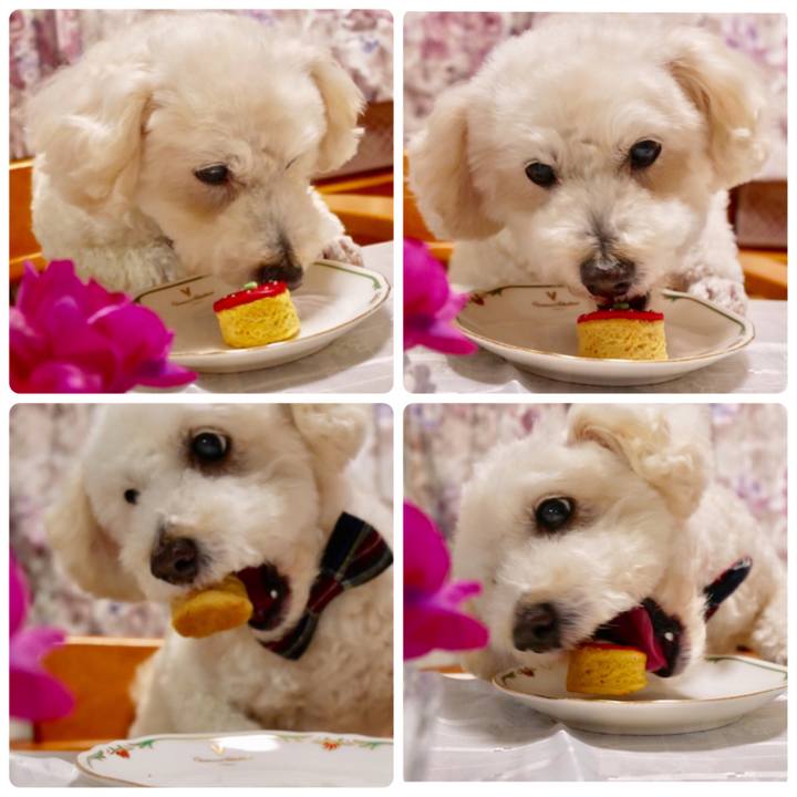 98c2a62f ce8e 4f03 9a34 b3f8def0e3d2 1521191524946