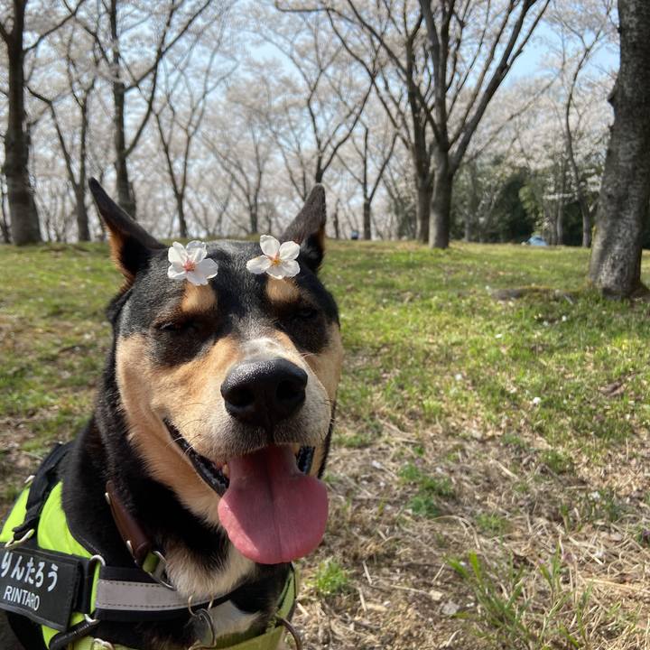 98c2b33c 5ca7 496c 8959 eaaf43712869 1680174192542