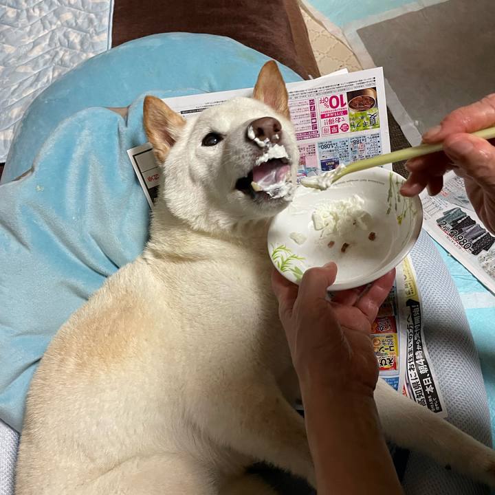 98c313d9 c281 4a40 9ccc d0b62e5e2dc4 1654099874365