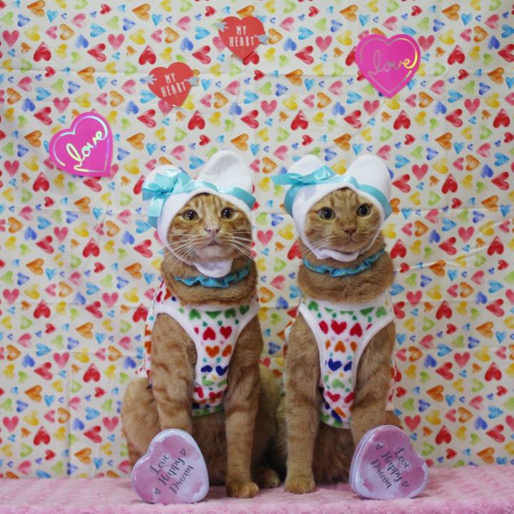 98c359d9 ce19 4e6e bf00 81bbc80adac1 1739495533943