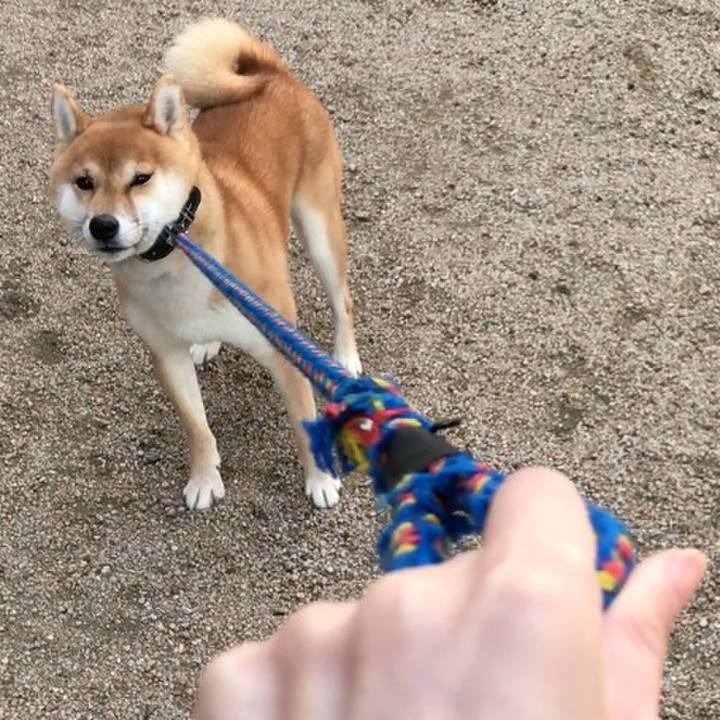 98c3b8f4 d19d 4a68 bd18 8cc51efaba2d 1517493750787