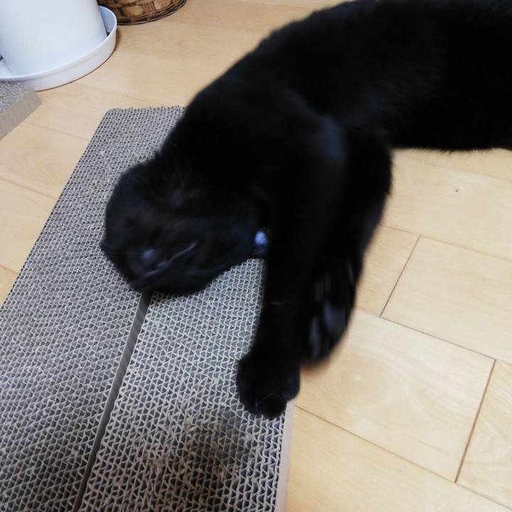 98c3f979 d5f1 491d b116 13ccb19f438d 1600382924940