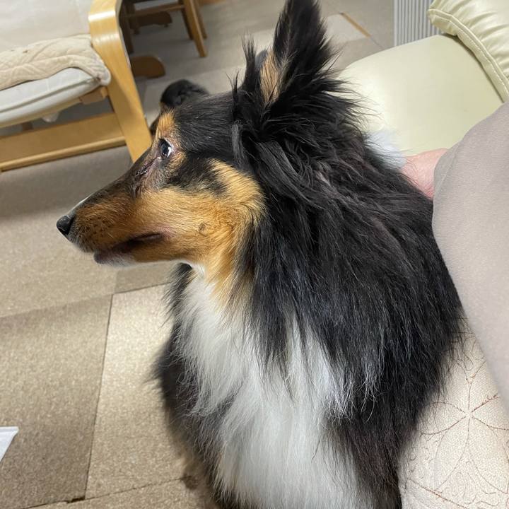 98c44793 e63b 436e b70a 0ab7dd0ef111 1613426008893