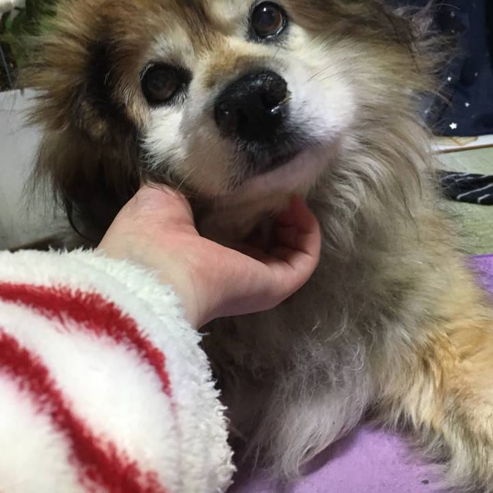 98c4491f 6897 4624 8e63 9443b5b40da2 1552605455664