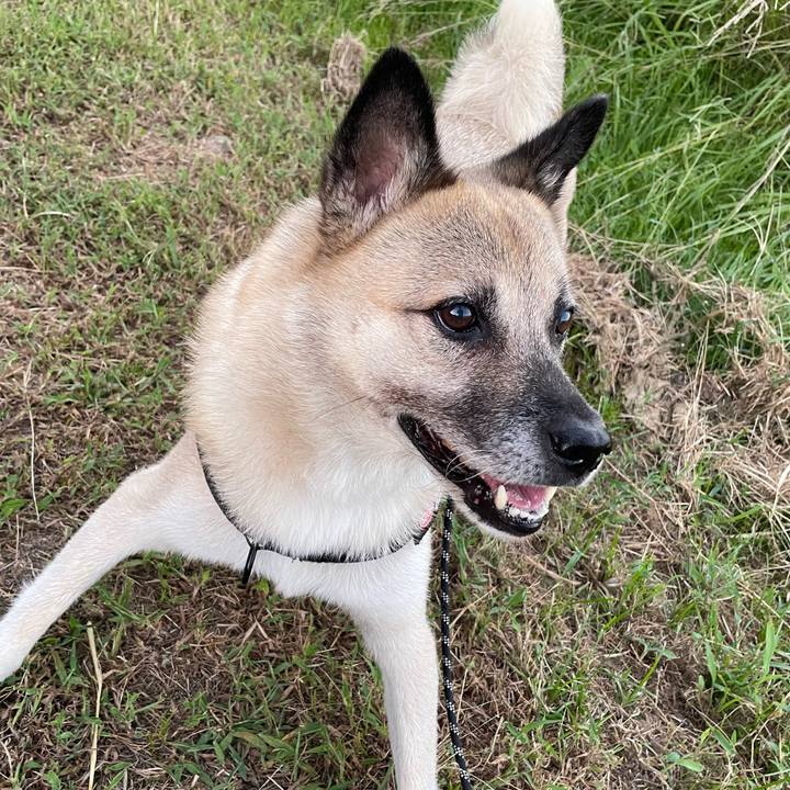 98c49ff5 f721 4078 a1ad d8b3ab30bd1e 1726231781872