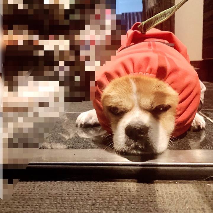 98c4bc1a 1d3b 4518 8f81 5df8dc10c2dd 1718671022560