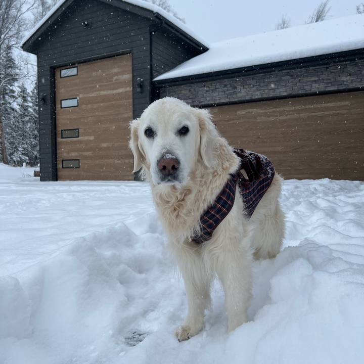 98c4e716 50ea 4c2d 8b90 d7f63d932340 1767857995428