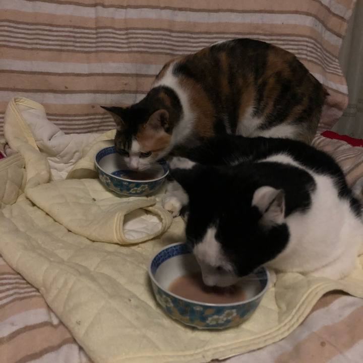 98c5014c 8159 4f2b 92eb 797c0c433b61 1603648886957