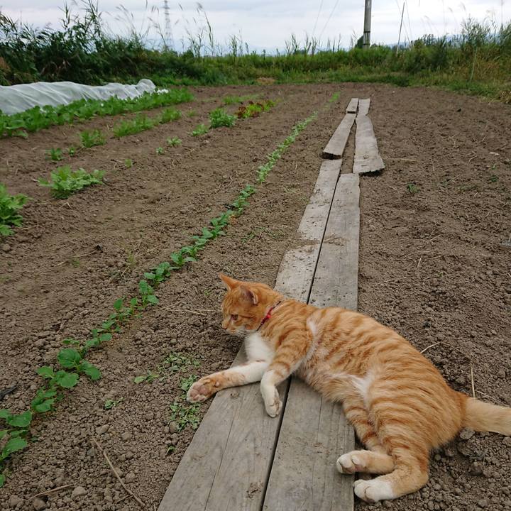 98c50959 d877 4482 bf84 9dd3523d6937 1569133180909