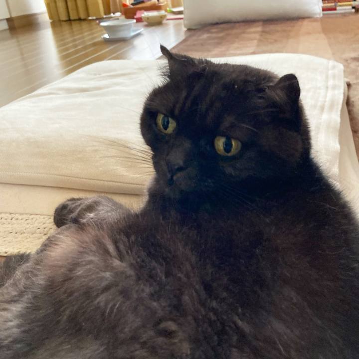 98c51fac 7c05 45ee 96fb 9cae805d8dda 1631064880841