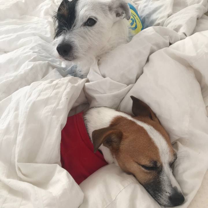 98c5808e f169 4371 9a82 47fa901f1bc2 1543446947212