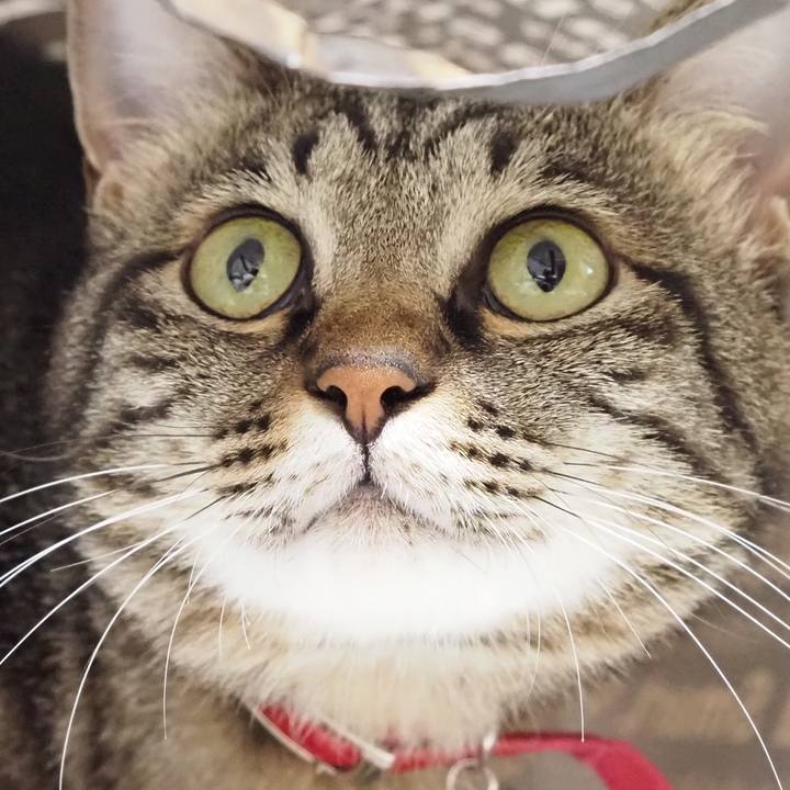 98c585f9 8703 412b b9bf ac369ec46067 1595650883490