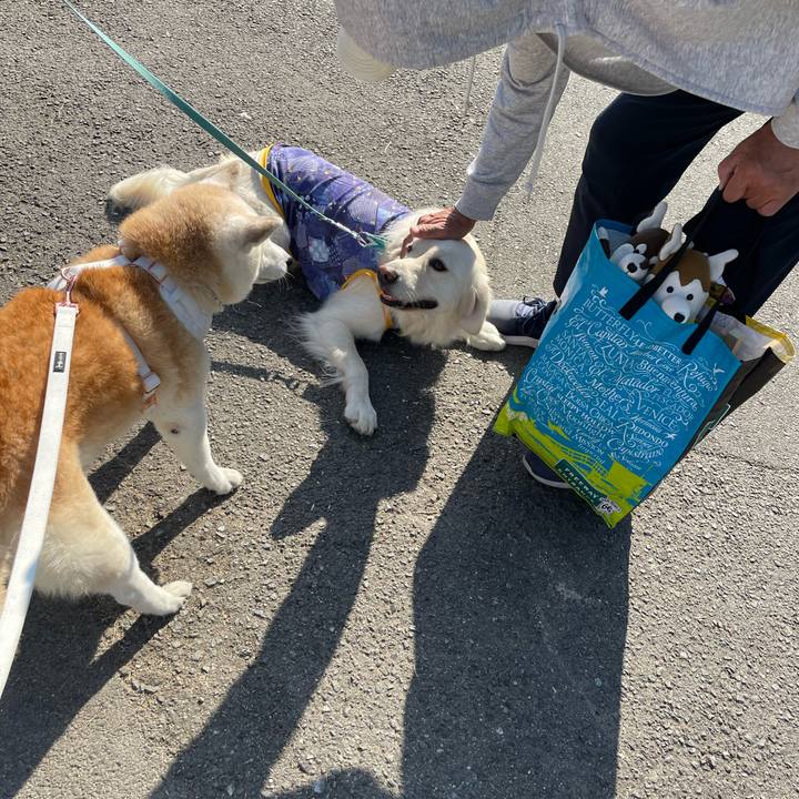 98c58f76 26dd 472d 84b7 79217204a51f 1668641291867