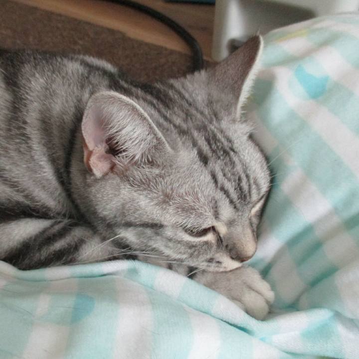 98c5af39 0aa4 405e ad38 d464ca00ab4b 1560254329222