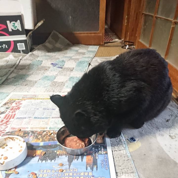 98c5c8ef 861e 4042 8938 8f4a81eb5d9b 1649886427212