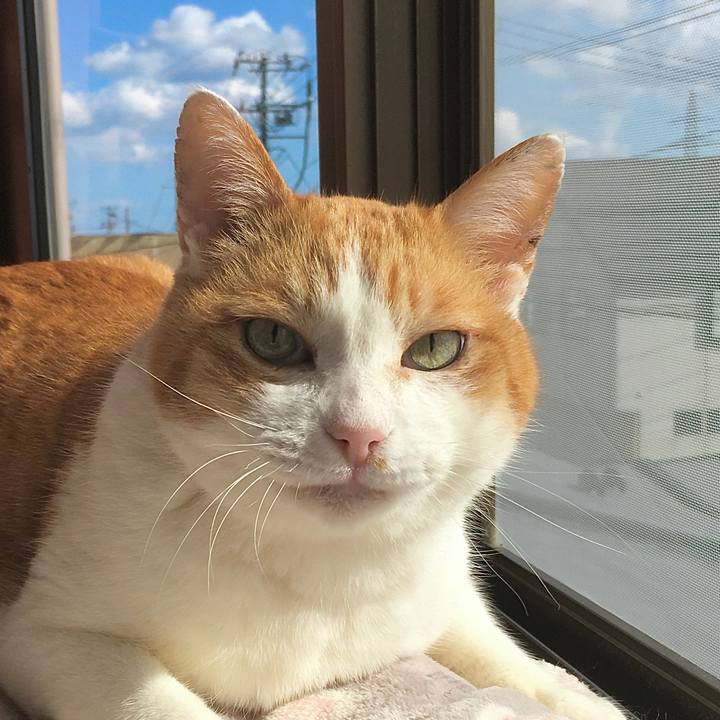 98c61666 fdfe 4d61 b56e 6032aa145f15 1616482586769