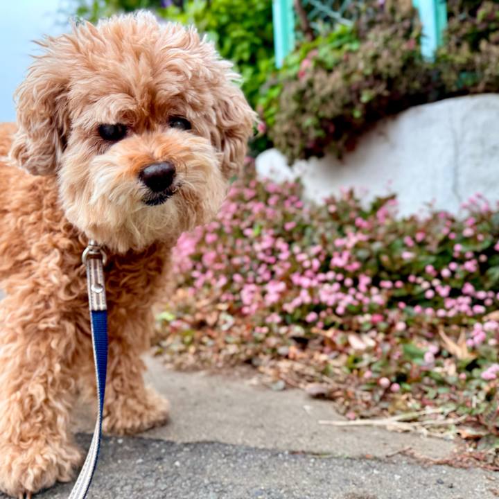 98c63cb7 2a56 45d4 a1ad 74219dfa0bce 1762382111054