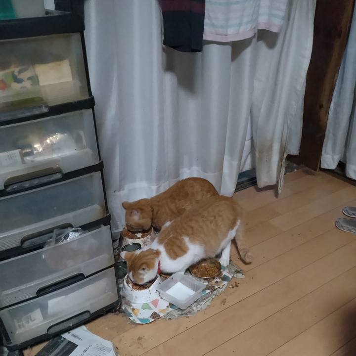 98c6618d a520 44ee 8345 cd322bca04a3 1748727987974