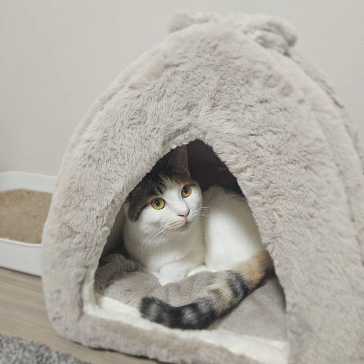 98c662e4 df7a 483f b642 a251218e9f14 1761042183307