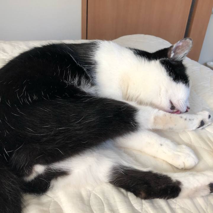 98c6802e 4de5 4165 8e01 e315f6eeaca9 1558906012162