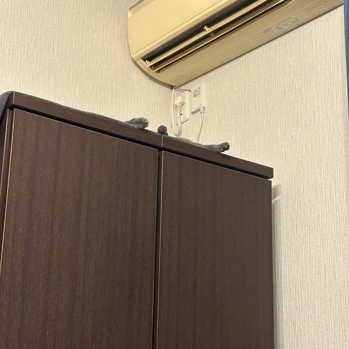 98c6deb9 e80b 4bb8 85b2 3b7c2a1a9a03 1703252033704