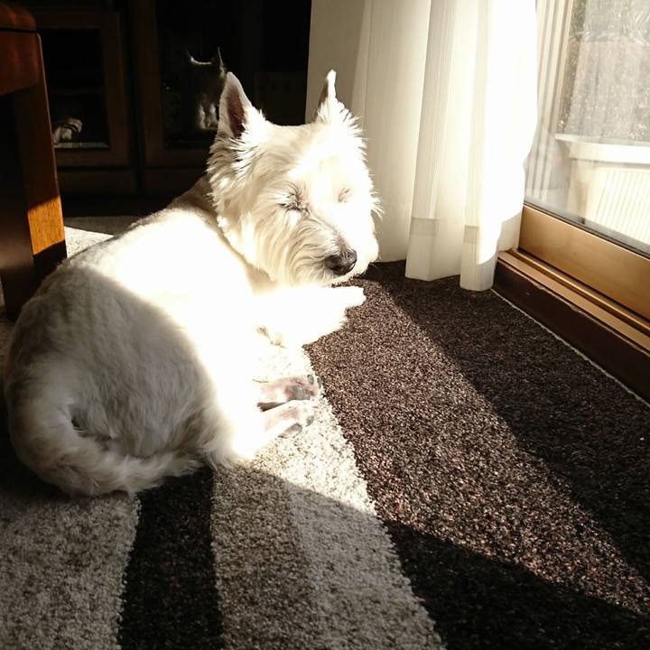 98c6fe28 f4b5 49b9 8742 236b93bcca09 1516117638511