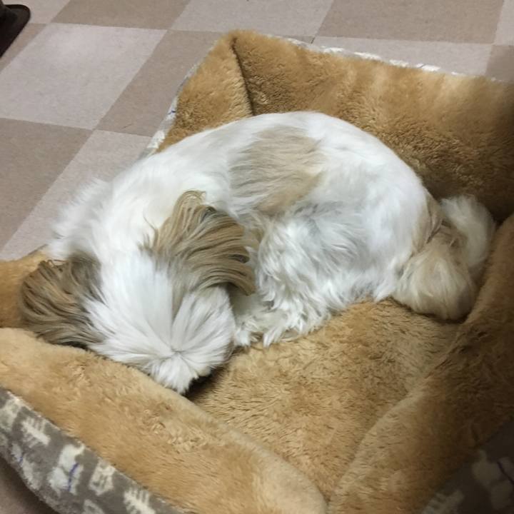 98c70d03 7032 4072 9657 588e914277b6 1509880386665