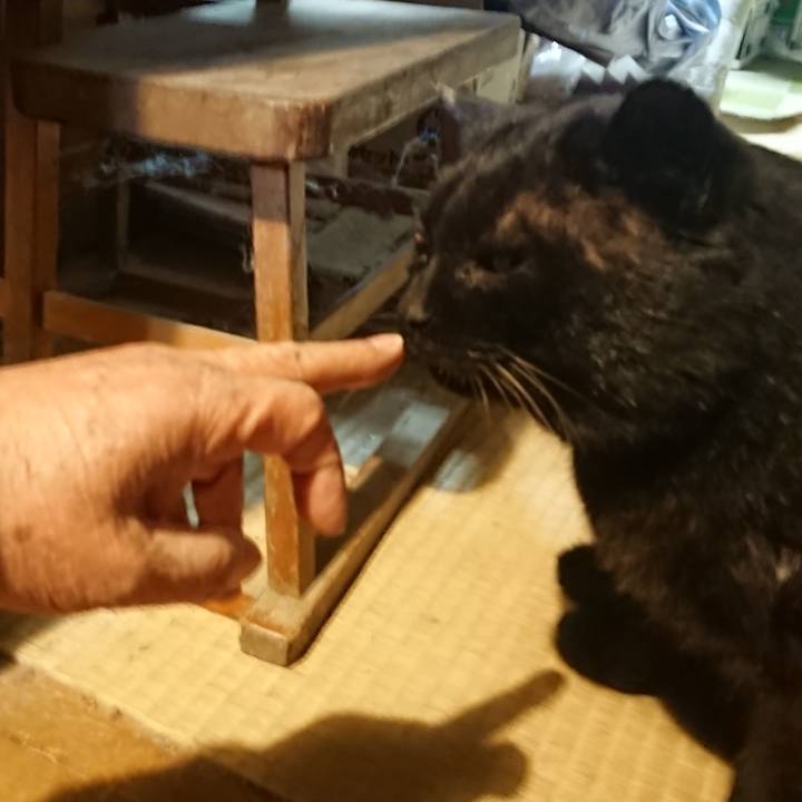 98c72393 0397 48ff 874c 16817e35fec2 1616236330845