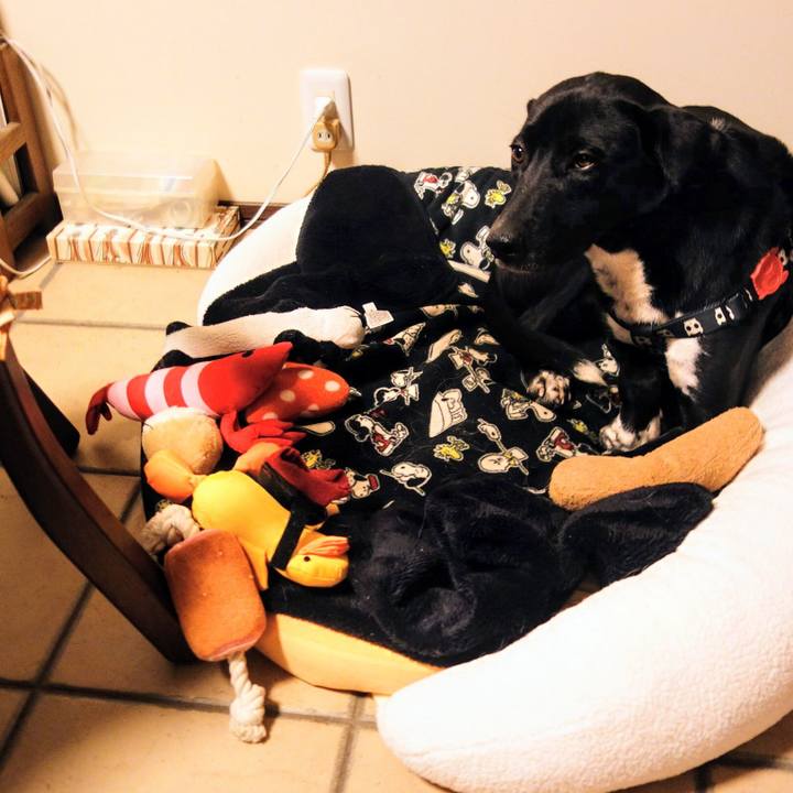 98c72480 76b0 4de7 a4d6 4328424e5a2f 1769302733211