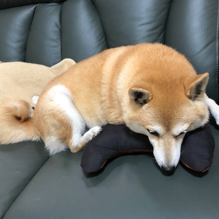 98c746b4 e612 46e4 917d 52ecd1e6736f 1563168375848