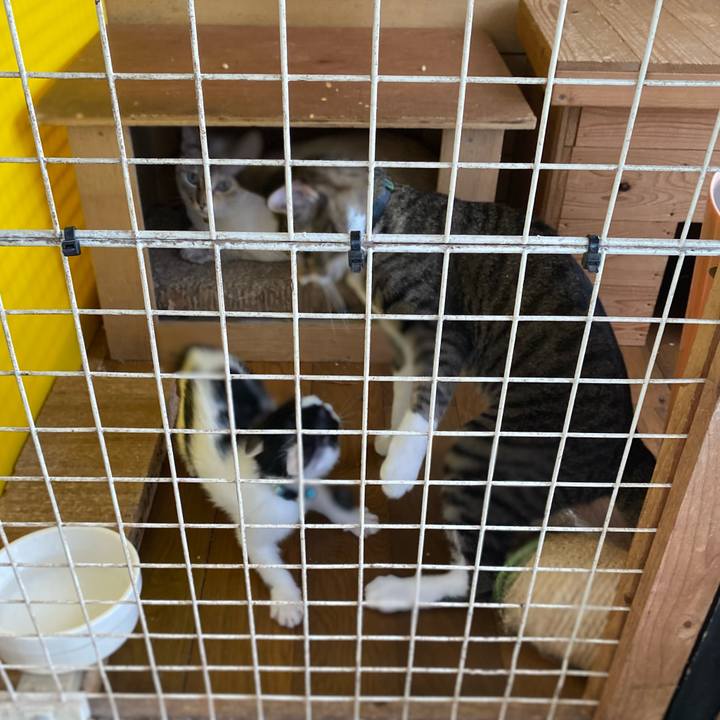 98c7538b e46f 42ed 8e70 0a4b3a0dbf7a 1653701945147