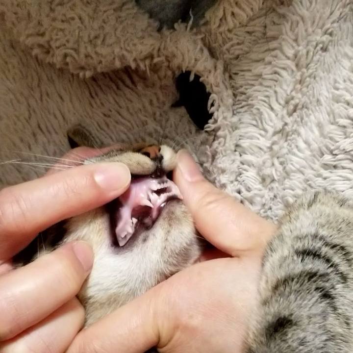 98c79b83 ac35 4e4d be34 417f6feb6f9a 1670852614788