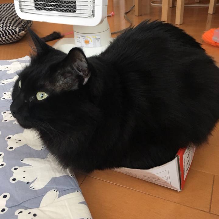 98c79c7f 8893 4ce4 b0c8 22d1b7b1bb71 1519347339428