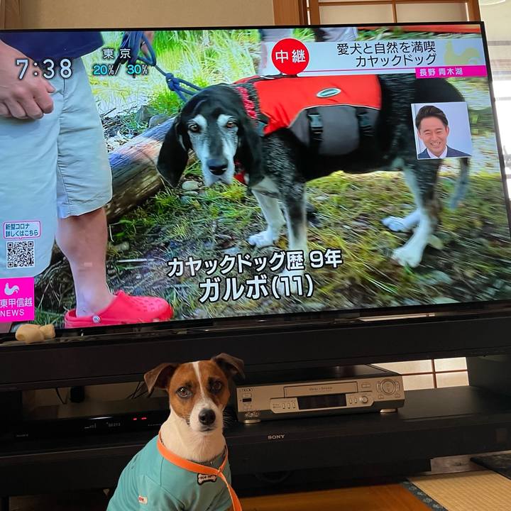 98c7fe6a 0d81 44e9 8656 78185079726e 1624660834323