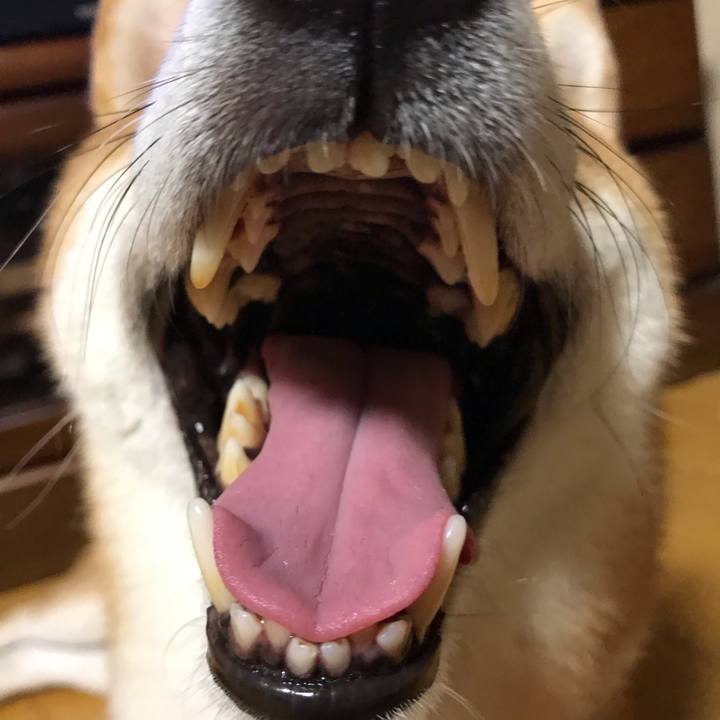 98c80eec 9e37 442a a168 898866111ff7 1562841104090