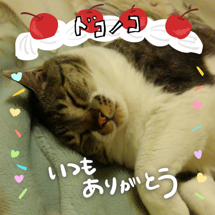 98c8375a 0f36 48d5 900b c2db76e9d983 1685937151468