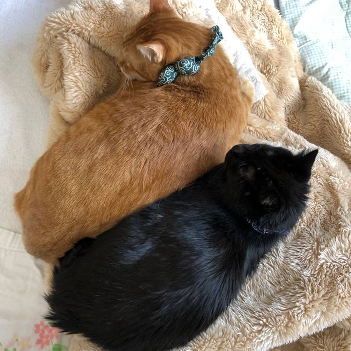 98c873e0 96c3 4ee0 aa57 55c2b8073211 1578883060693