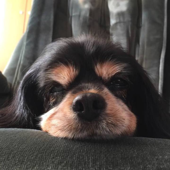 98c8e56c 644c 4c09 927d 8b786bd79dc9 1574821032324