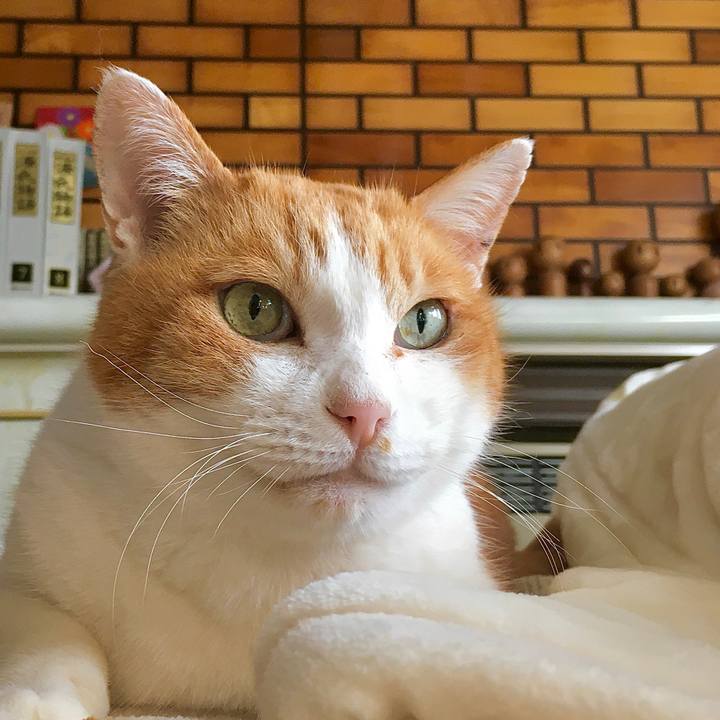 98c93d44 21f4 4268 aaeb f44302e0cfb7 1649806624400