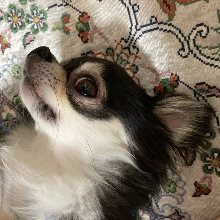 98c94f2a ec7d 49f3 b334 b76e3e1cc13f 1651585898899