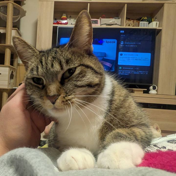 98c97146 5994 4050 9d43 63d65ae60843 1768985618846