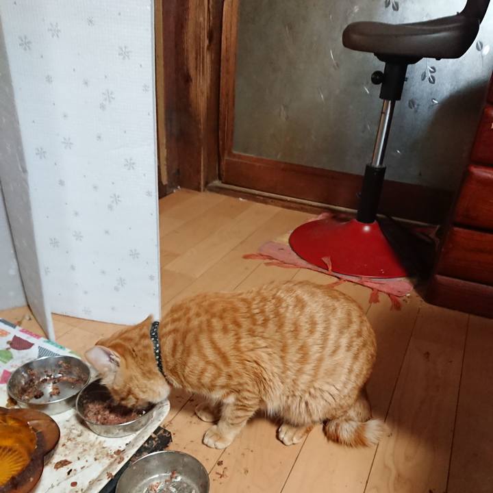 98c9a1a1 ce0d 4d1a 98f2 dec2cfd26997 1649624429337