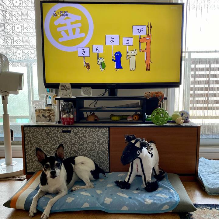 98c9a2dd dd56 41fb bdf5 d1e7931fdfd1 1626991102585