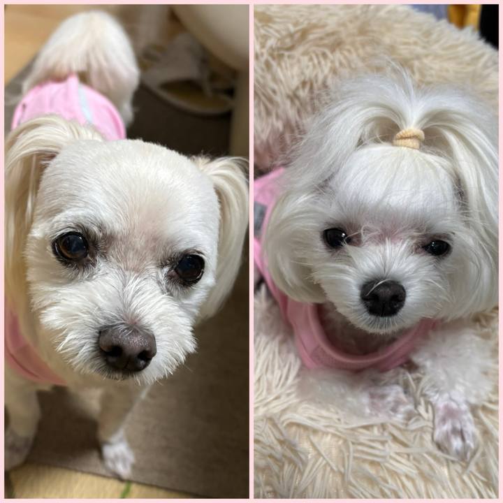 98c9a611 4ef9 4d2b aa5e c2ce3ae1b671 1758532719588