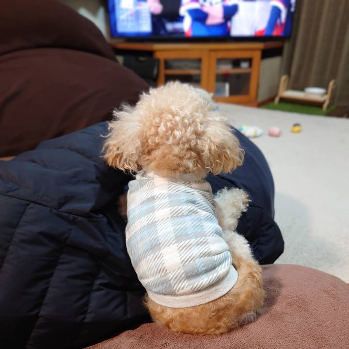 98c9b13d 0a50 494b 8f90 2e86d0862abd 1772957442432