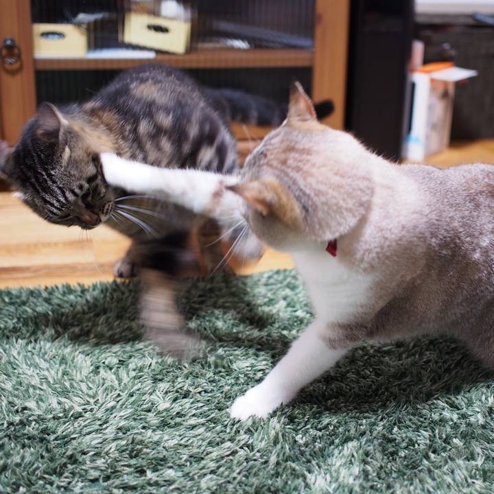 98c9ce5d 608f 4c79 bc1a fc60aa4134d5 1594821051866