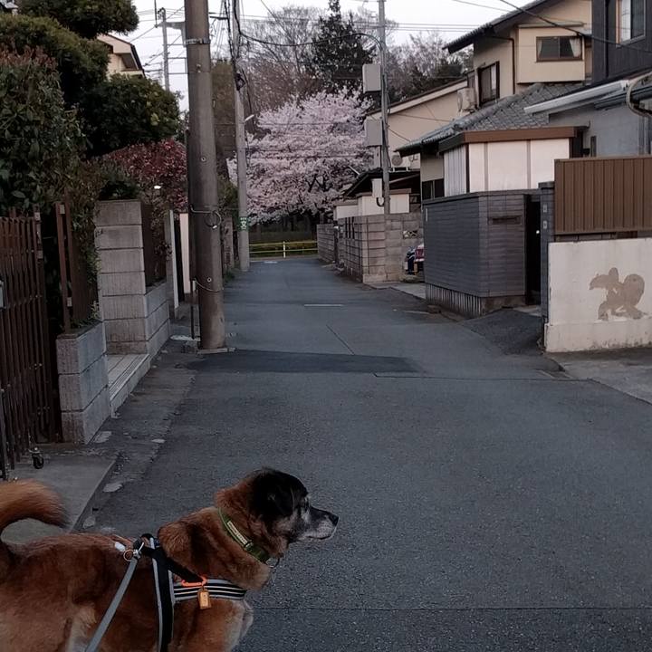 98c9dde9 90cb 457f 859a eaa8d5a98319 1522314834772