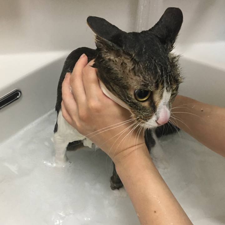 98ca11dd dcc1 43a0 92b4 2b69d0f20fe9 1664634245270