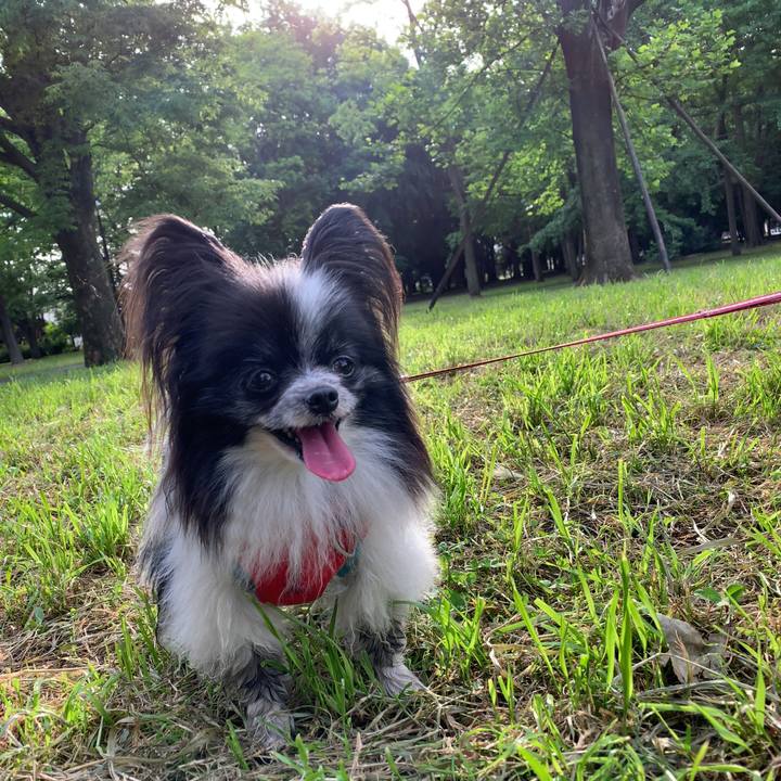 98ca156b 2e24 4a8f ad6f da6019be081b 1590363810727