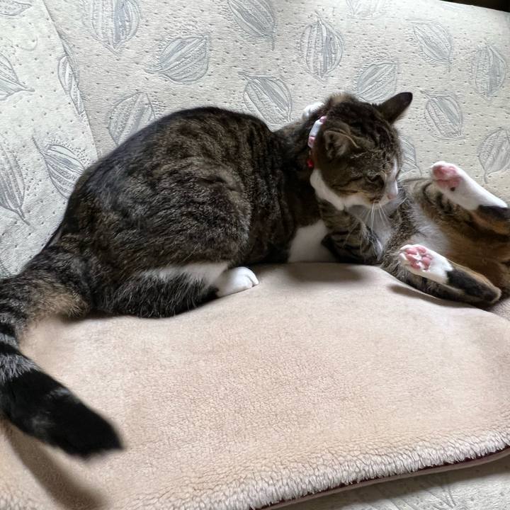 98ca4815 506e 4b95 9b70 dfafdf0b1558 1710344230574